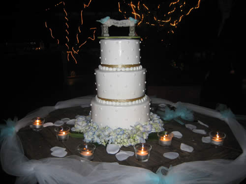 Phillips Wedding 003